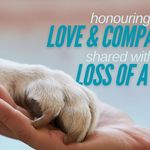 A soft, comforting background image of a hand holding a pet’s paw. with text - honouring the LOVE & COMPASSION shared with the LOSS OF A PET