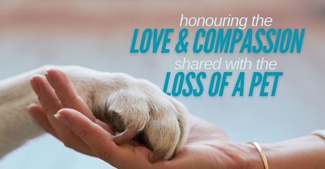 Finding Compassionate Support After the Loss of a Beloved Pet