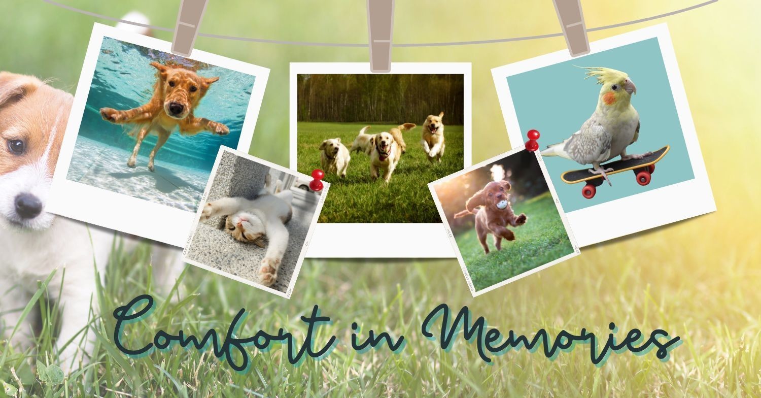 Photo collage of happy pets, finding comfort in memories after the loss of a beloved pet.