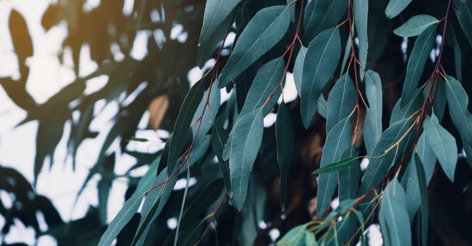 Grief, Growth & Joy: Why Facing Loss Transforms Your Life | London, Ontario  EPIC Recovery