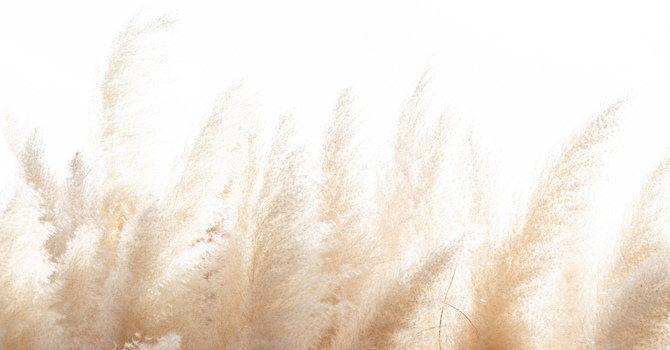 Grief, Growth & Joy: Why Facing Loss Transforms Your Life | London, Ontario  EPIC Recovery