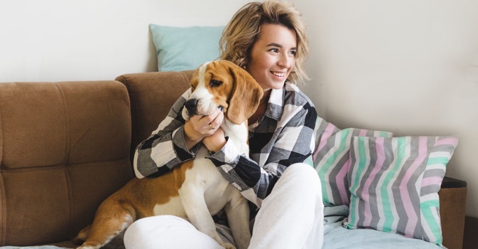 Understanding Grief: 20 Reflections on Loss, Memory, and Meaning