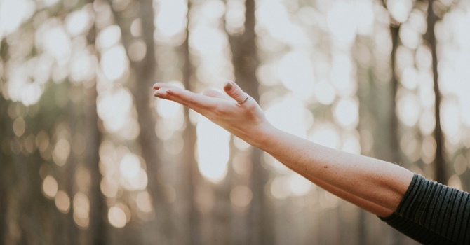 Grief, Growth & Joy: Why Facing Loss Transforms Your Life | London, Ontario  EPIC Recovery